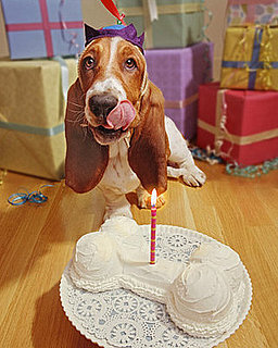 Hallmark Contest For Your Pets