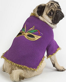 Petsugar's Weekly Recap Quiz 2008-02-09 11:00:18