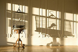 Accessories for the Bird Lovers