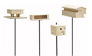 Stylish Bird Feeders for a Modern Home