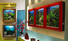 AquaVista 500 Fish Tank Frames Your Fish AquaVista 500 Fish Tank Frames Your Fish