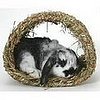 Hide-A-Way Hut For Bunny Playtime