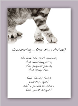 Sincerely, Fido Greeting Cards For Your Pets