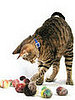 Cat Toys from Unused Yarn