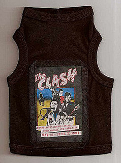 The Punky Pup for all Things Punk Rock