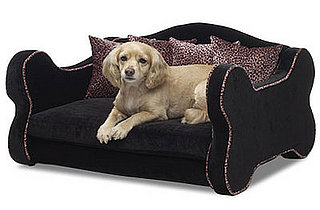 Rock and Roll Pet Bed Spoils Your Rocker Pet