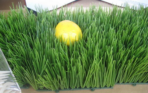 Easy Spring Centerpiece: Wheatgrass