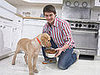 New Year’s Petsolution: Portion Control
