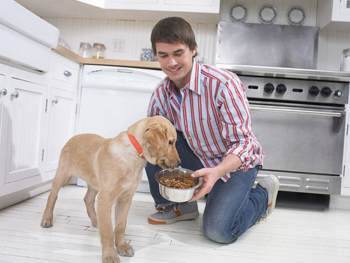New Year’s Petsolution: Portion Control