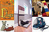 Pet's January Must Haves