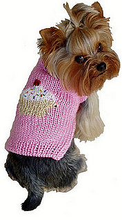 Trend Setters: Dogs May Singlehandedly Save Cupcakes
