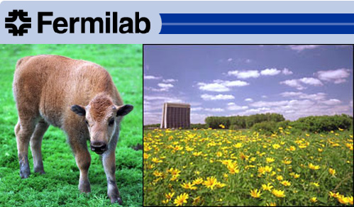 Out and About: Illinois' Fermilab
