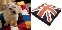 PetSugar Giveaway: Jonathan Adler Pet Bed