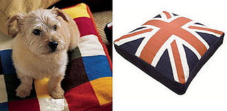 PetSugar Giveaway: Jonathan Adler Pet Bed