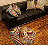 Pampered Pals: Vitamin D(esign)