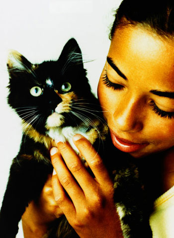 Out and About: Illinois' Chicago Urban Tails