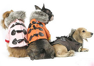 Special Alert: Go Where No PetMarks Have Ever Gone...