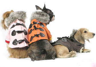 Special Alert: Go Where No PetMarks Have Ever Gone...