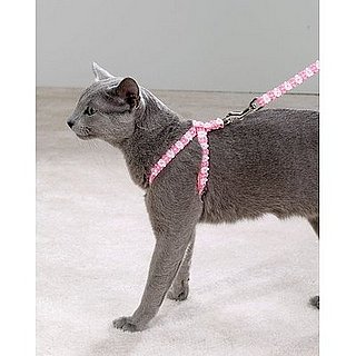 To the Rescue: Leashes Aren't Just for the Dogs