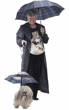 Dog Umbrella: Spoiled Sweet or Spoiled Rotten?