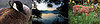 Out and About: Tennessee's Radnor Lake