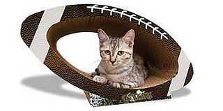 Pampered Pals: Super Bowl Scratcher