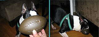 Super Bowl's Super Toys