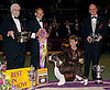 Westminster Dog Show