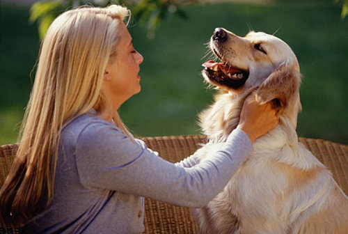 To the Rescue: Doggie Massage for Beginners