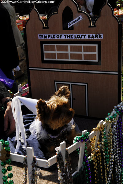 mardi_gras_barkus_parade-008 mardi_gras_barkus_parade-008