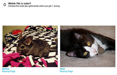 Can You Pick Which Pet Is Cuter?