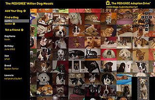 Million Dog Mosaic