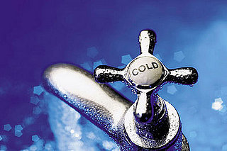 Do You Offer Purified Water to Pets?