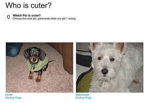 Two Little Cutie Pies, Do You Have a Fave?