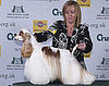 Super Cute Crufts Gallery!