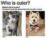 Cute... and Cuter!