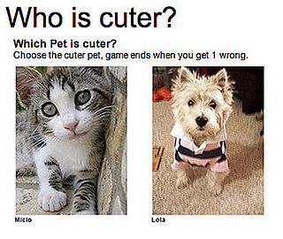Cute... and Cuter!