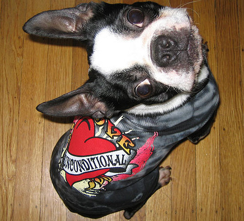 North's a Street Punk!