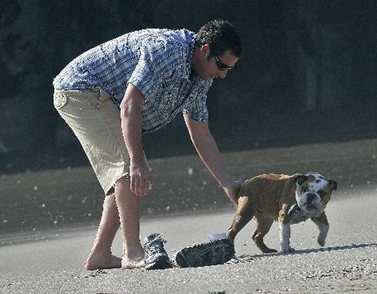 Adam Sandler and Matzo on the Set of Bedtime Stories Adam Sandler and Matzo on the Set of Bedtime Stories