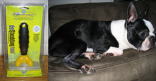 "Boston Terror" Chronicles: North vs. the FURminator