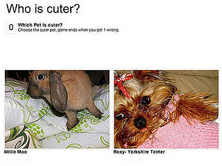 Can You Call Out a Cutie?
