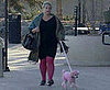What's Your Take: Cici the Pink Poodle vs. Boulder City Code?