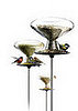 Feed the Birds: Bird Table and Millet