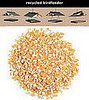 Feed the Birds: Recycled Birdfeeder and Corn