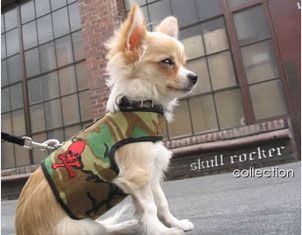 Trend Setters: Hard Rock Pets