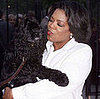 So Long, Sweet Sophie: Oprah's Beloved Spaniel Dies