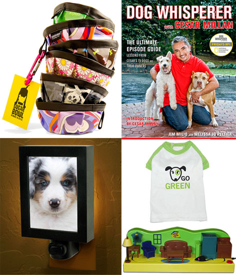 Pet's April Must Haves
