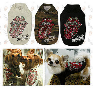Shine a Light 'Cause Your Doggie Is a Rolling Stone