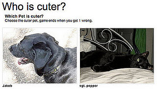 Get In on the Cuteness Game!