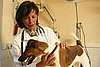 New Year’s Petsolution: Get a Healthy Start